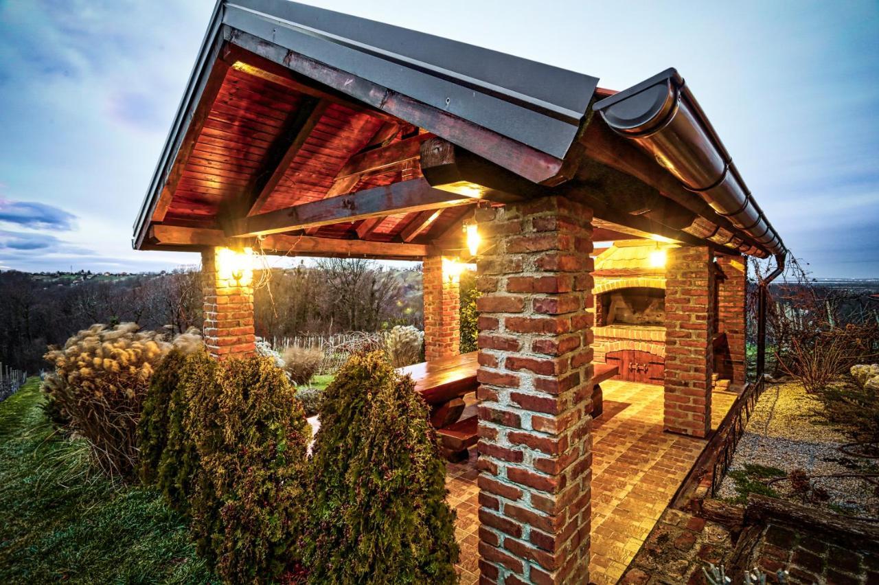 ヴァラズディンスケ・トプリツェ Bregec Rural Houseヴィラ エクステリア 写真